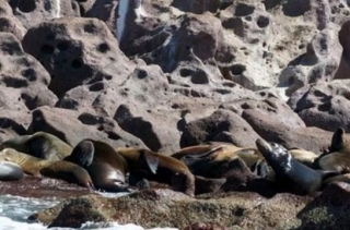  Espiritu Santo Island 
